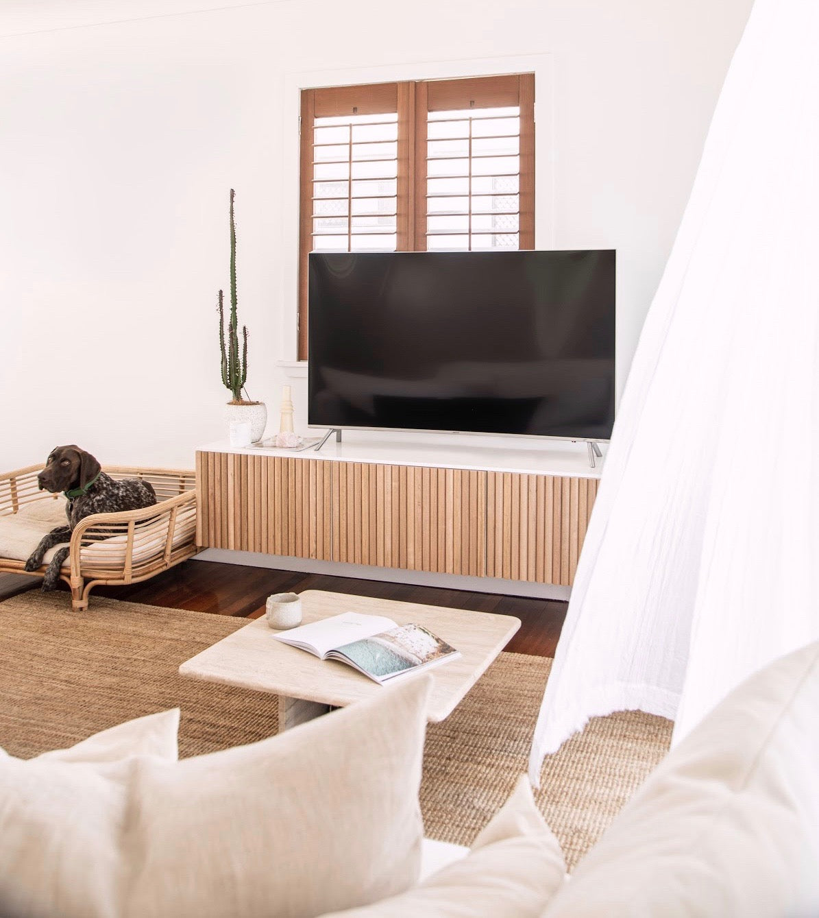 Geebungalow renovated living room with tv unit and dog