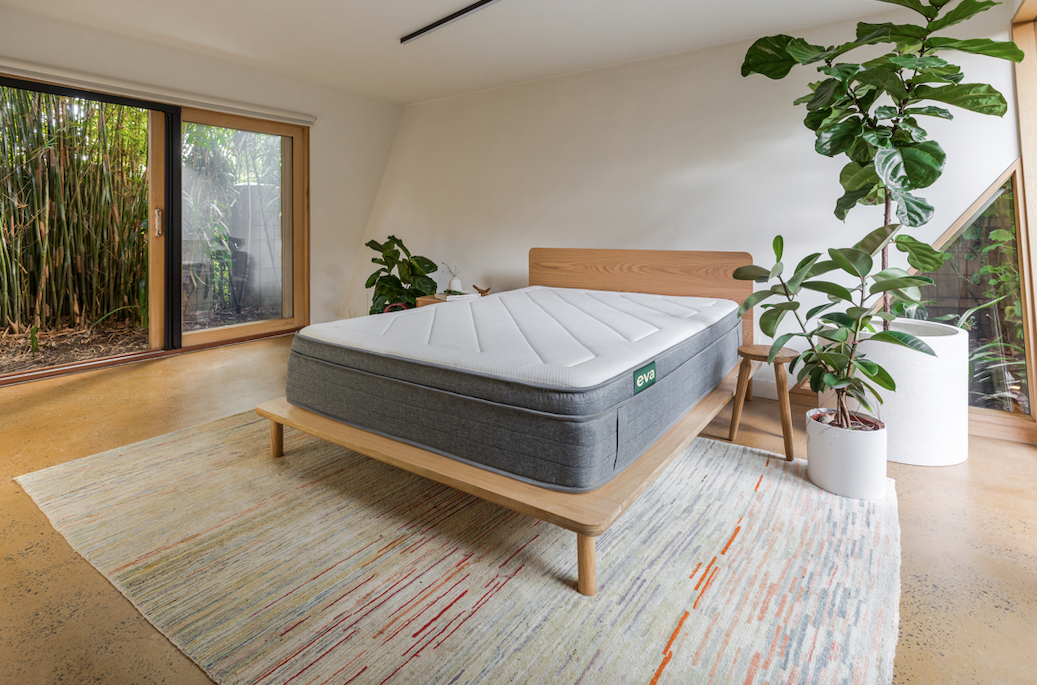 The Eva Mattress and Bed Frame with fiddle leaf fig in large bedroom