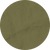 Fern