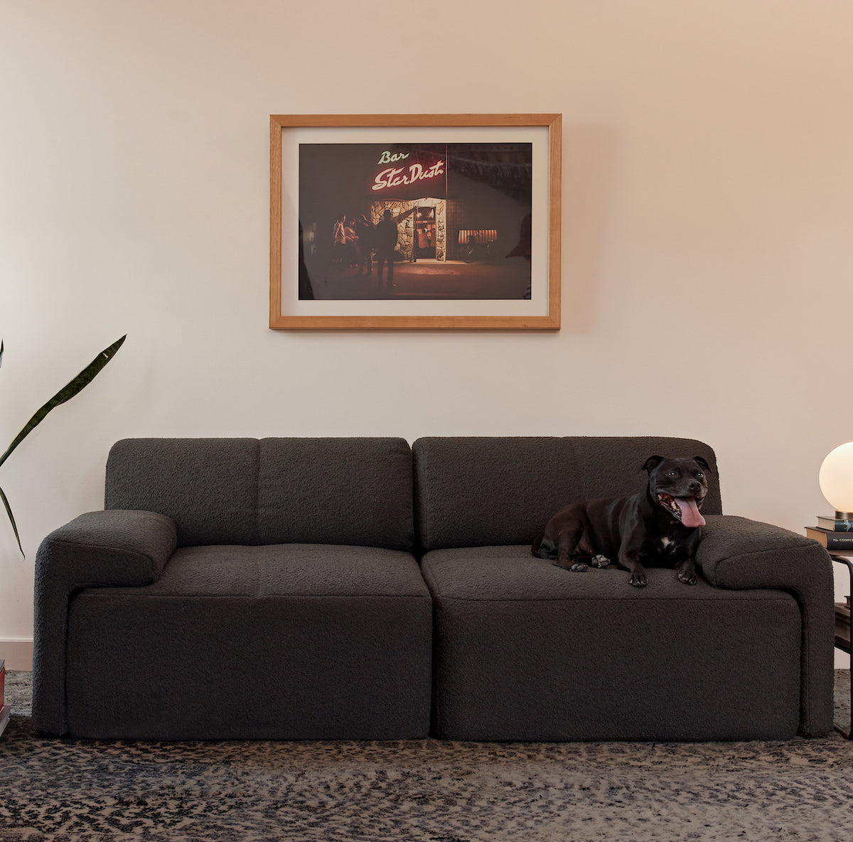 Everyday Sofa Covers