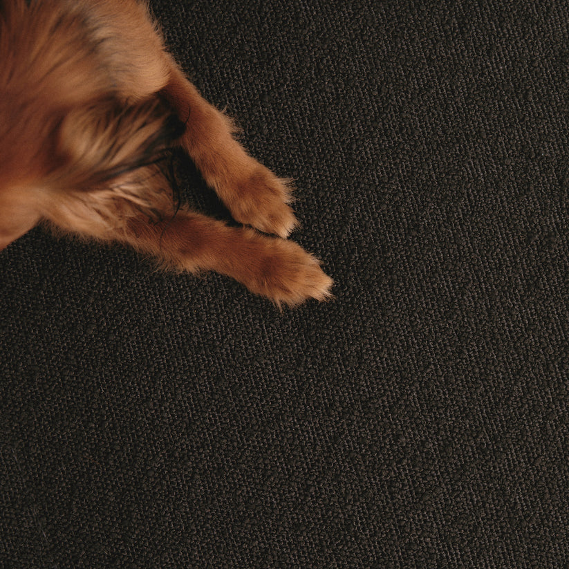 Everyday Sofa Cover in Graphite Bouclé